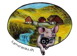Fleisch vom Freilandschwein